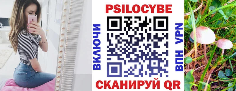 shop состав  МЕГА ONION  Галлюциногенные грибы Psilocybe  Тарко-Сале  закладка 